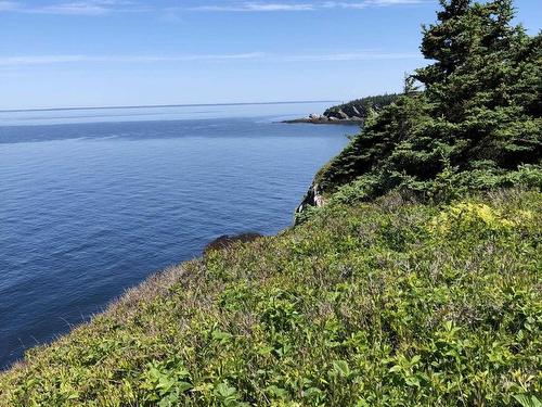 Lot 4B Pepperrell Road, Cape St Marys, NS 