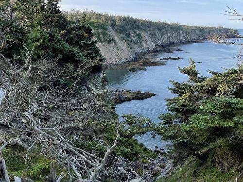 Lot 4B Pepperrell Road, Cape St Marys, NS 