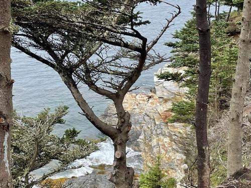 Lot 4B Pepperrell Road, Cape St Marys, NS 