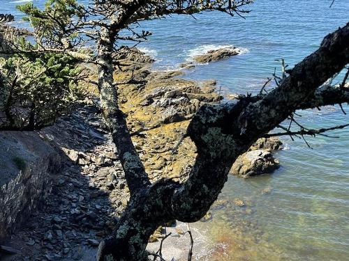 Lot 4B Pepperrell Road, Cape St Marys, NS 