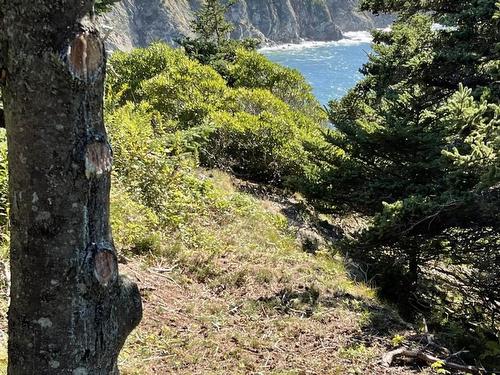 Lot 4B Pepperrell Road, Cape St Marys, NS 