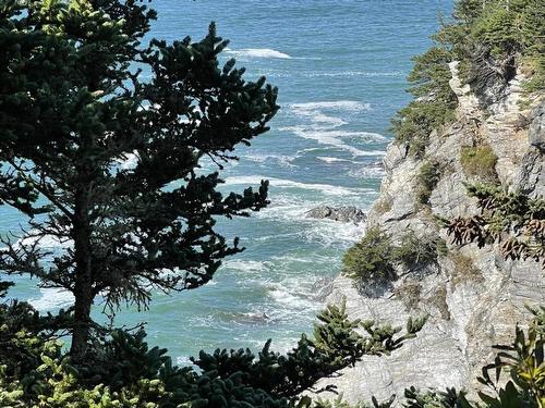 Lot 4B Pepperrell Road, Cape St Marys, NS 