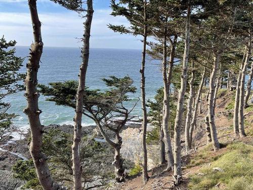 Lot 4B Pepperrell Road, Cape St Marys, NS 