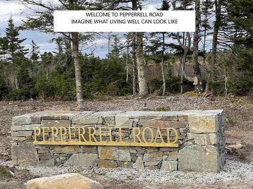 Lot 4B Pepperrell Road, Cape St Marys, NS 