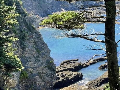 Lot 4B Pepperrell Road, Cape St Marys, NS 