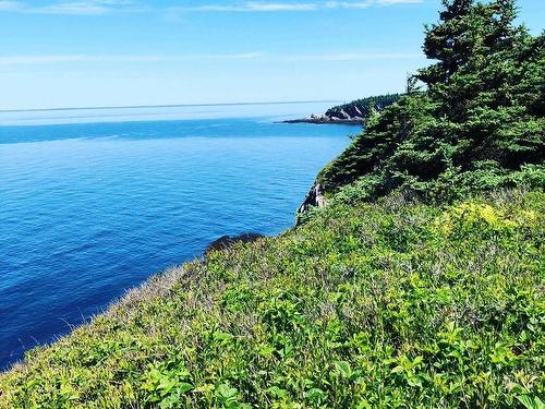 Lot 4B Pepperrell Road, Cape St Marys, NS 
