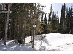 Pr. St Lt 11 ALPINE WAY Smithers, BC V0J 2N0