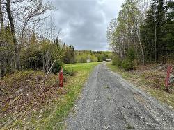 292 Chemin Ruisseau à Thibodeau  Saint-Basile, NB E7C 2L8