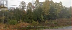 18362 HIGHWAY 62  Tudor & Cashel, ON K0K 1Y0