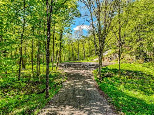 Land/Lot - Ch. Des Grands, La Conception, QC 