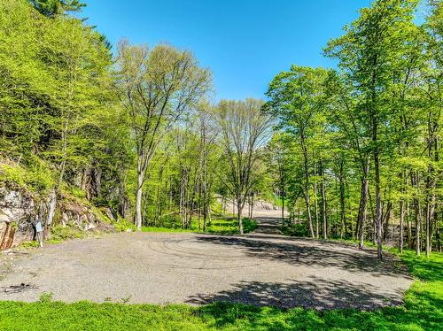 Land/Lot - Ch. Des Grands, La Conception, QC 