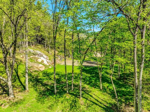 Land/Lot - Ch. Des Grands, La Conception, QC 