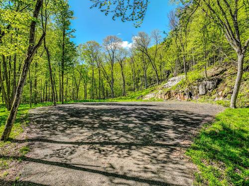 Land/Lot - Ch. Des Grands, La Conception, QC 