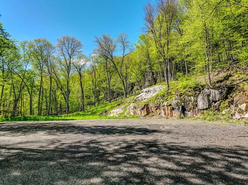 Land/Lot - Ch. Des Grands, La Conception, QC 