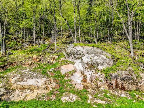 Land/Lot - Ch. Des Grands, La Conception, QC 