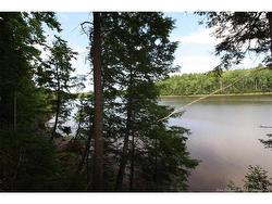 15-59 Bass River Point RTE  Bass River, NB E4T 1J3