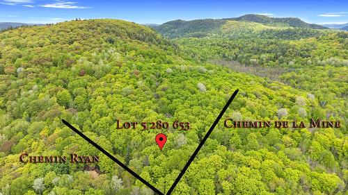 Vue - Ch. Ryan, Lac-Sainte-Marie, QC 