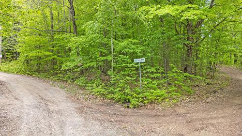 Terre/Terrain - Ch. Ryan, Lac-Sainte-Marie, QC 