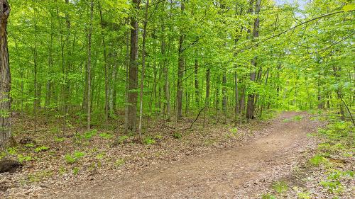 Terre/Terrain - Ch. Ryan, Lac-Sainte-Marie, QC 