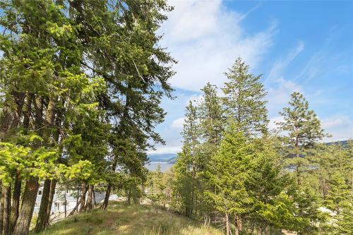 7801 Alpine Road, Fintry, BC - Outdoor With View