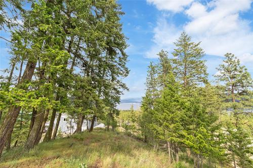 7801 Alpine Road, Fintry, BC - Outdoor With View