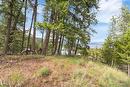 7801 Alpine Road, Fintry, BC  - Outdoor With View 