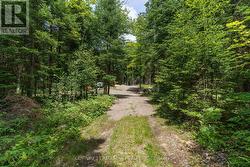 2978 GLAMORGAN ROAD  Highlands East, ON K0M 1S0