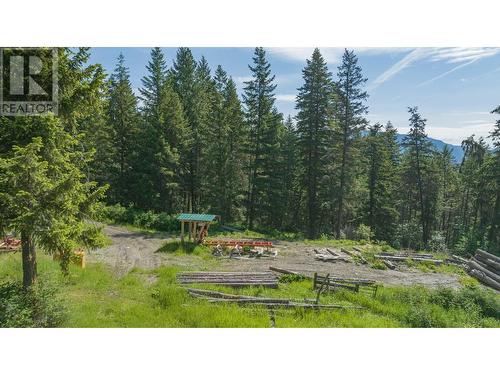 233 Albers Road, Lumby, BC - Outdoor With View