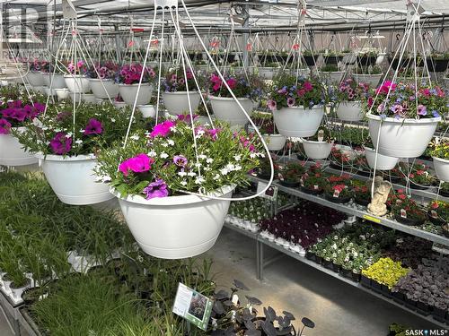 211 A Flowerville Avenue, Lac Pelletier Rm No. 107, SK 