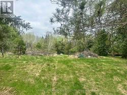 158 LAKEVIEW AVENUE  Kearney, ON P0A 1M0