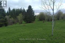 4802 MUNICIPAL ROAD  Iroquois Falls, ON P0N 1A0