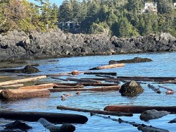 LOT 12 Marine Dr  Ucluelet, BC V0R 3A0