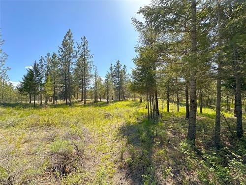 121 Corral Boulevard, Cranbrook, BC - Outdoor With View