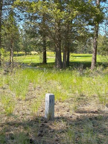 121 Corral Boulevard, Cranbrook, BC - Outdoor With View