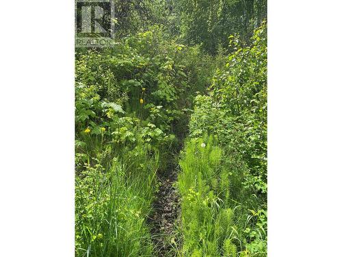 Lot 1 - 9 Arrow Lakes Drive, Castlegar, BC 