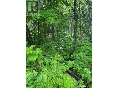 Lot 1 - 9 Arrow Lakes Drive, Castlegar, BC 