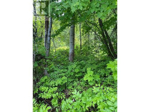 Lot 1 - 9 Arrow Lakes Drive, Castlegar, BC 