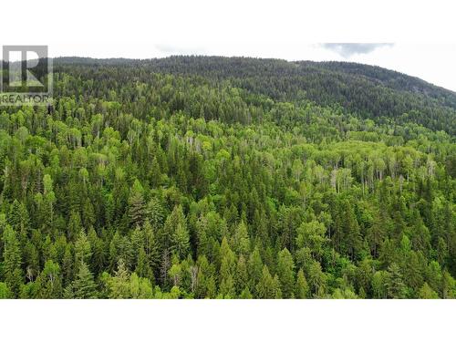 Over 30 acres of property in total - Lot 1 - 9 Arrow Lakes Drive, Castlegar, BC 