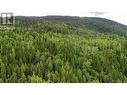 Over 30 acres of property in total - Lot 1 - 9 Arrow Lakes Drive, Castlegar, BC 
