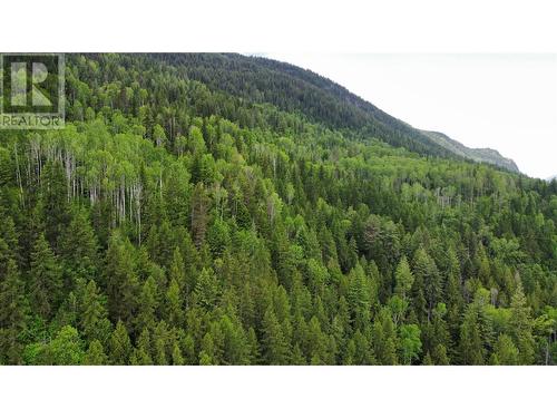 Lot 1 - 9 Arrow Lakes Drive, Castlegar, BC 