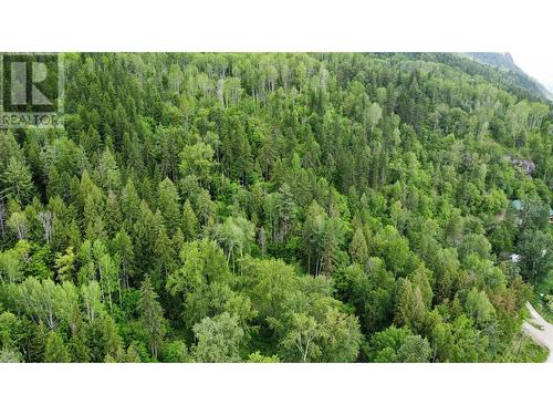 Property starts at the Road to the right of photo and heads east - Lot 1 - 9 Arrow Lakes Drive, Castlegar, BC 