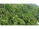 Property starts at the Road to the right of photo and heads east - Lot 1 - 9 Arrow Lakes Drive, Castlegar, BC 