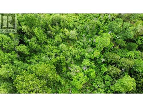 Lot 1 - 9 Arrow Lakes Drive, Castlegar, BC 