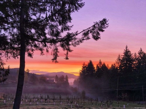 7661 Mays Rd, Duncan, BC 