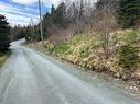 10 Power'S Lane, Marysvale, NL 