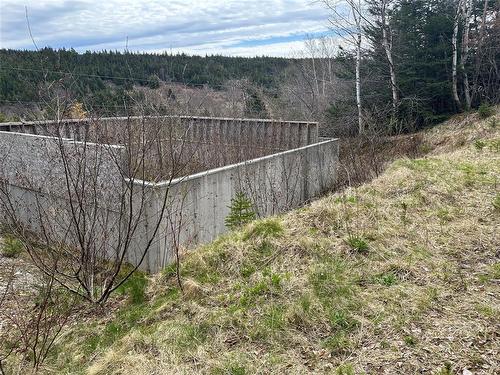 10 Power'S Lane, Marysvale, NL 