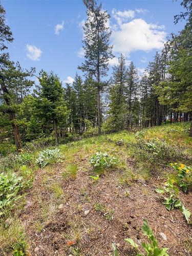 42 Muir Road, Westbank, BC - Outdoor With View