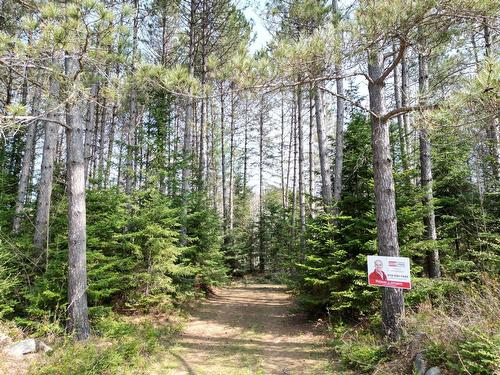 Terre/Terrain - Ch. Terreault, Labelle, QC 