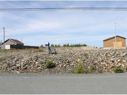 19 Flora Drive  Torbay, NL A1K 0H5