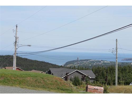 19 Flora Drive, Torbay, NL 